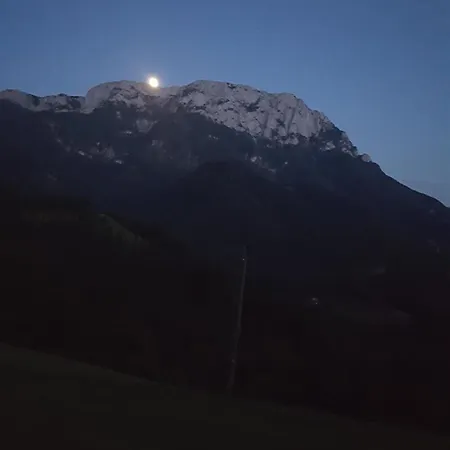 Farm Majdac Солчава