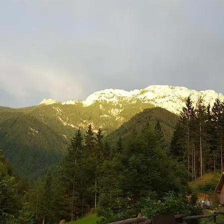 Farm Majdac Солчава