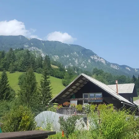 Farm Majdac Solcava